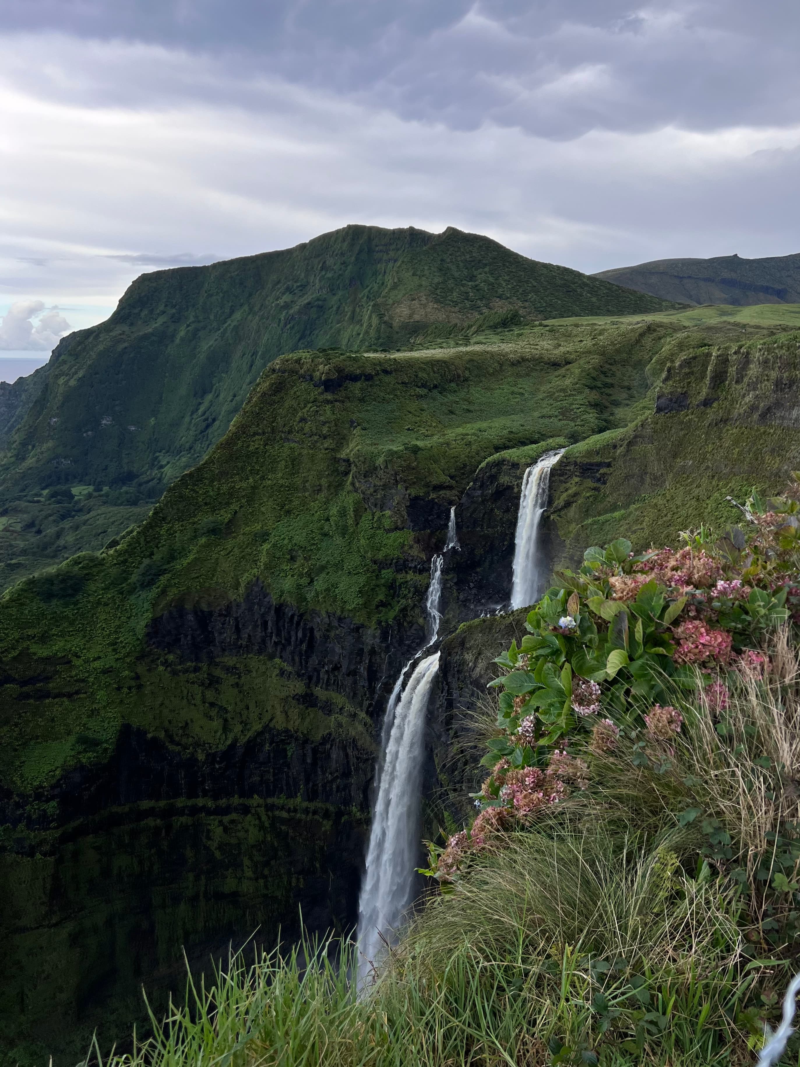 Flores Island journey photo 2